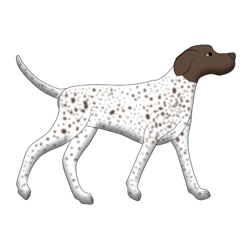 Pointer rennt