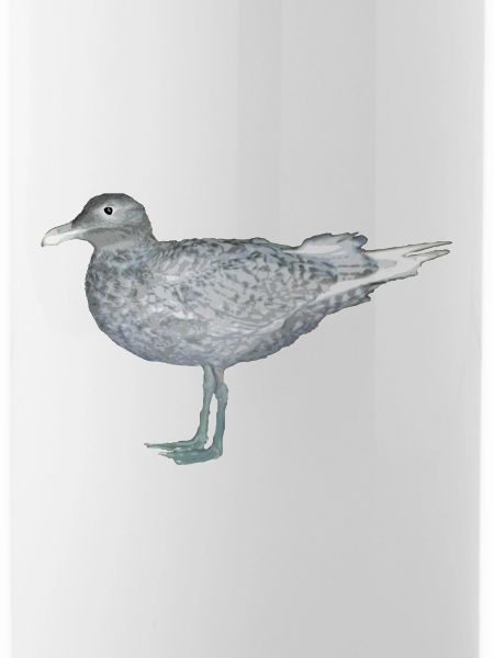 seagull
