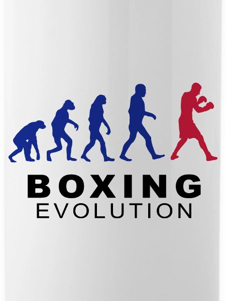 Boxing evolution