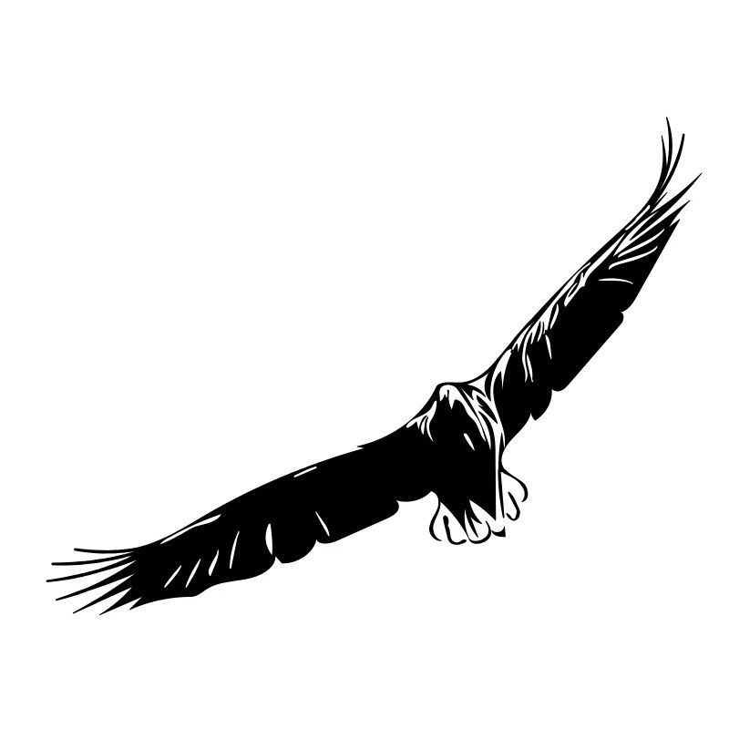 Flying eagle