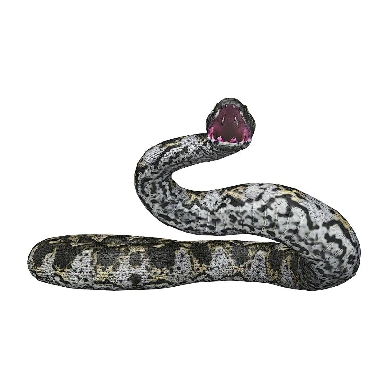Serpent idole, boa constrictor, serpent