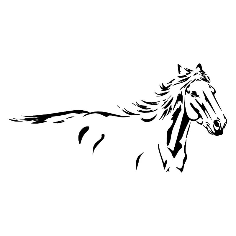 Pferde Wildpferd Tier Silhouette