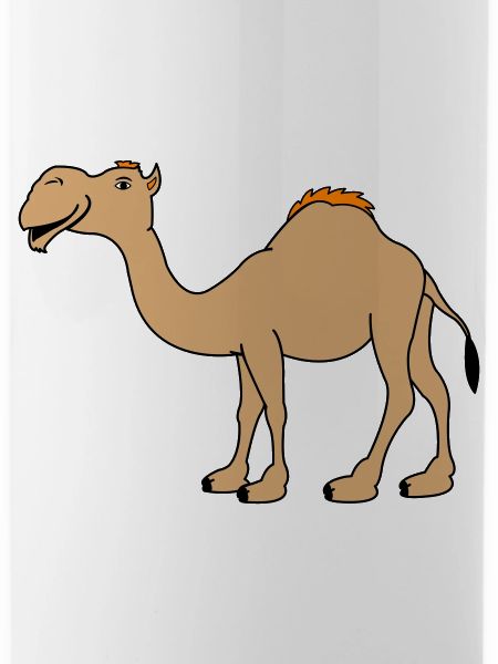 Camel