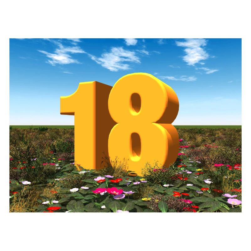 Year 18