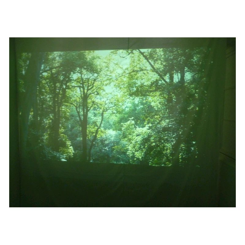 Wald