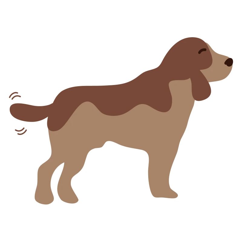 Chiot brun