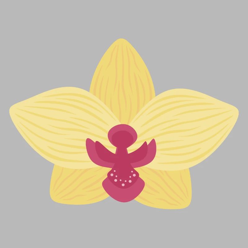 Orchidée jaune