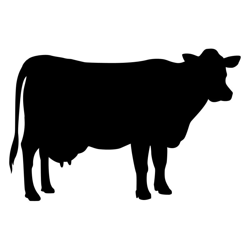 Cow Kuh