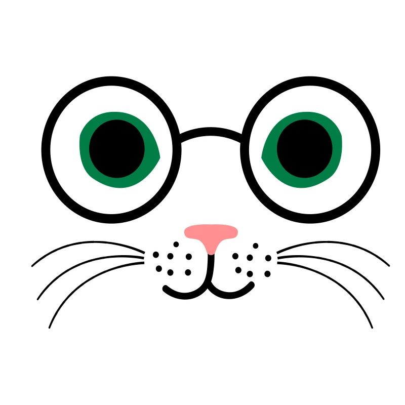 chat lunettes