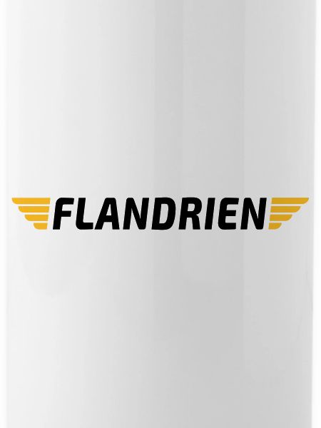 Flandrien