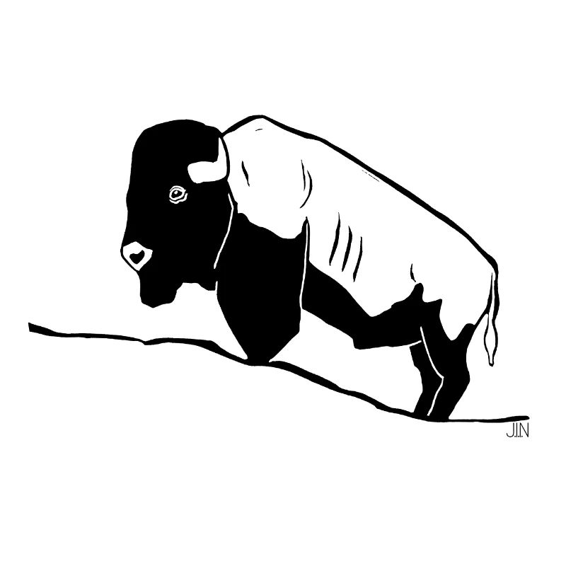 Bison
