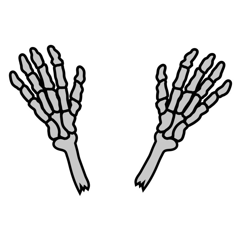 2 Skeleton Hands Bones