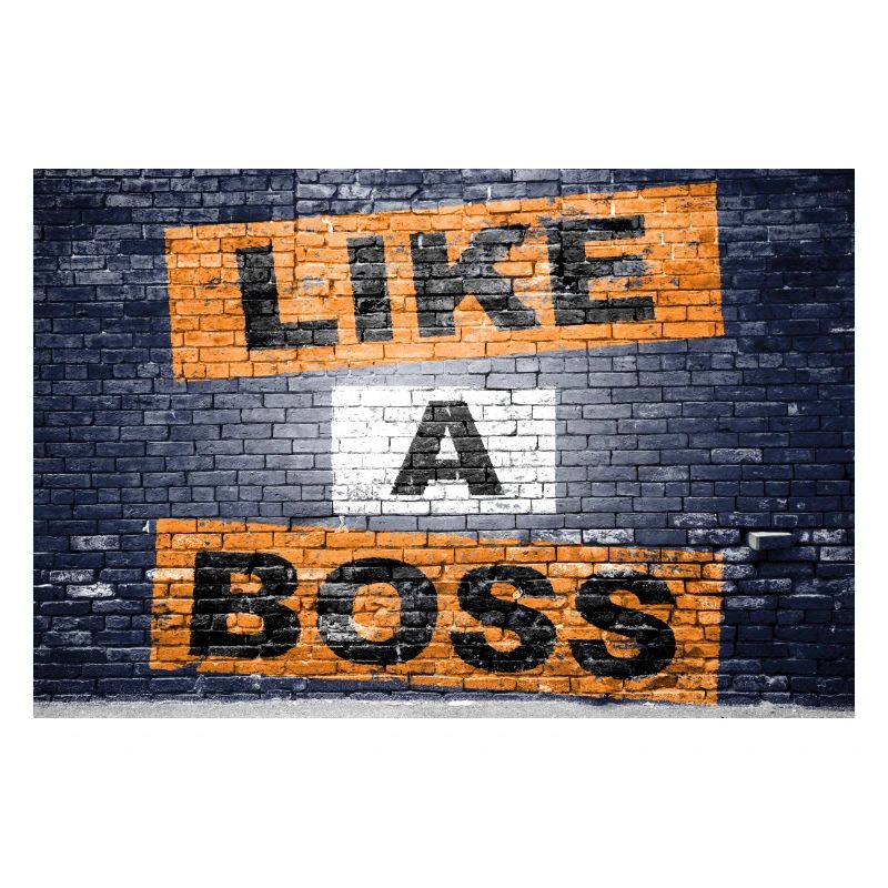 Like a Boss saying lettering