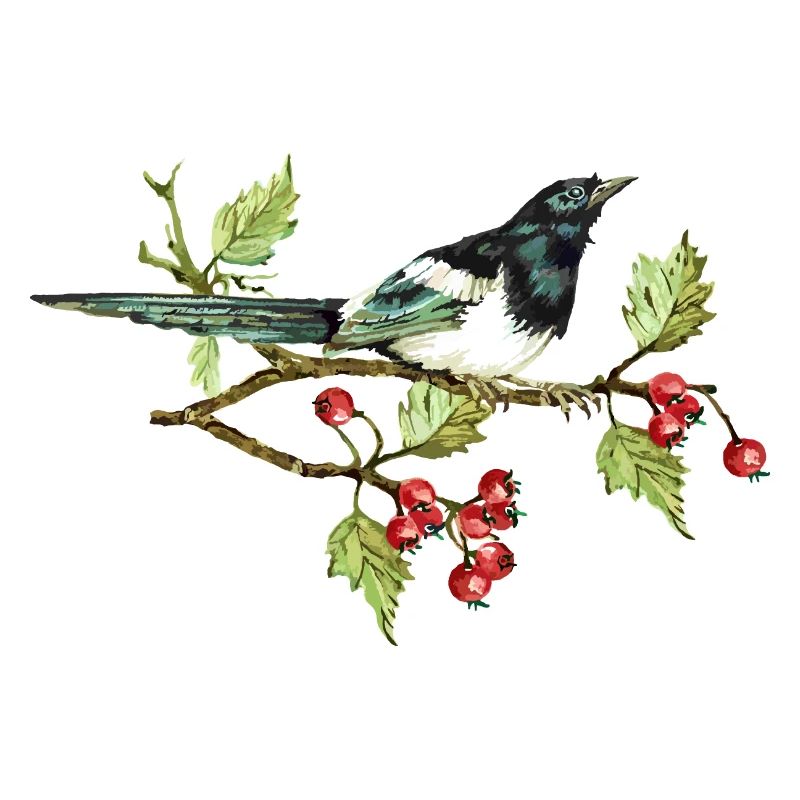 Bunter Vogel