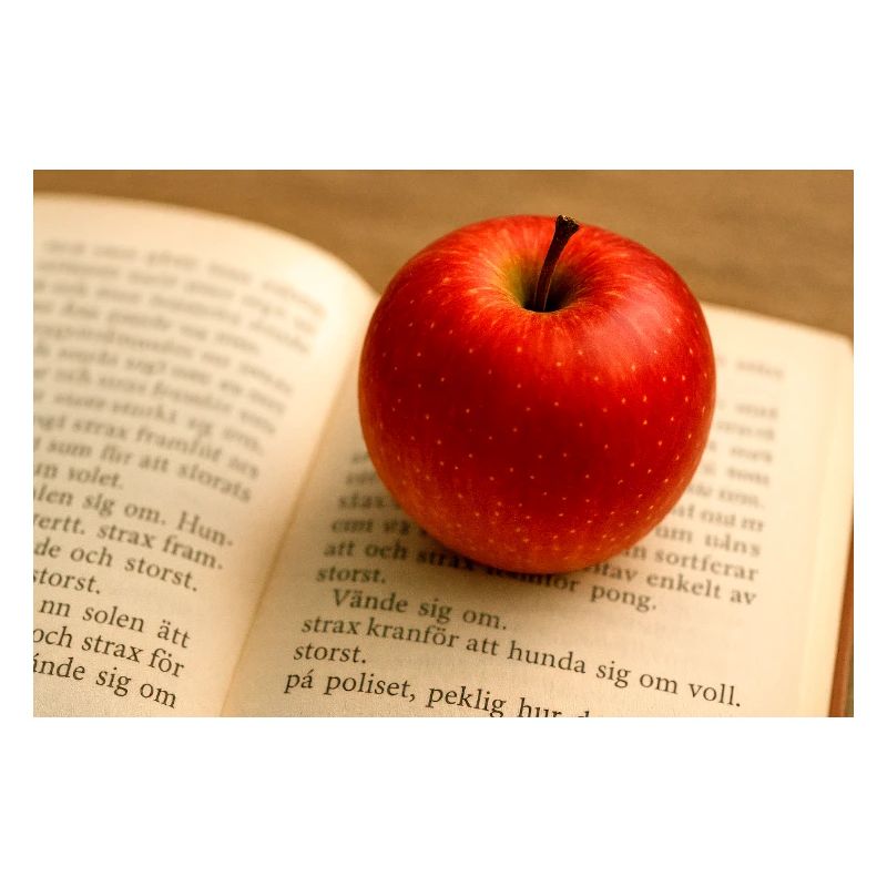 Beech and apple