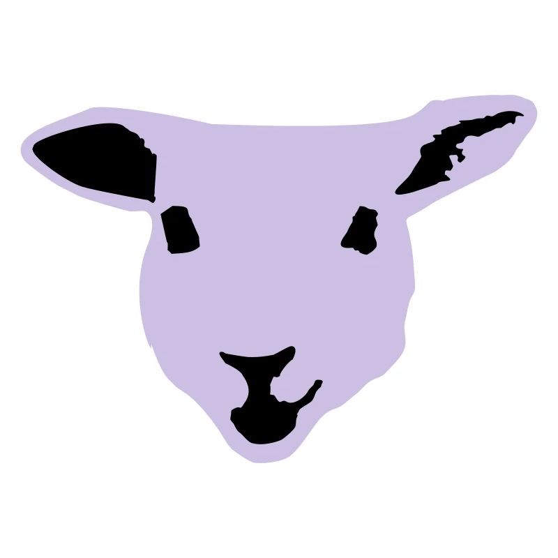 sheep, lamb
