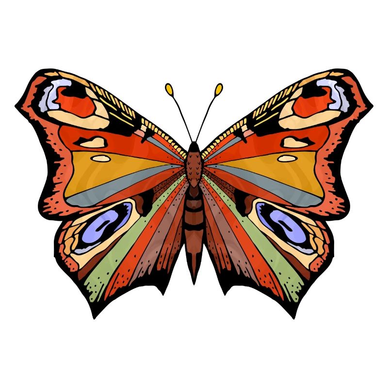 Papillon