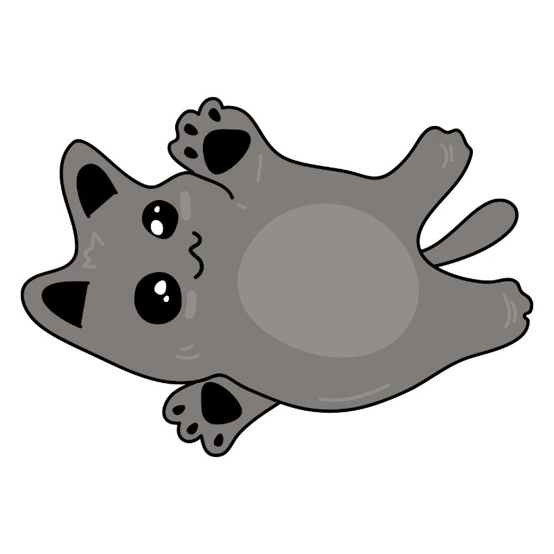 mignon bébé chat gris