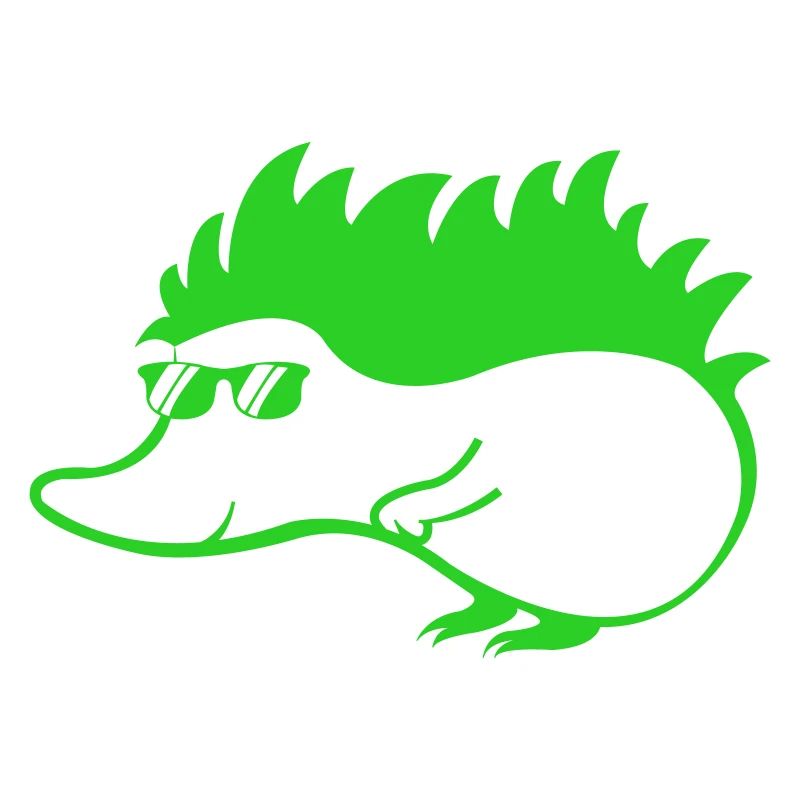 Cool Hedgehog 1