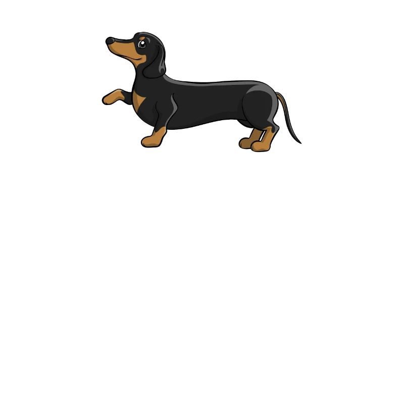 Cadeau d'anniversaire chien teckel teckel teckel