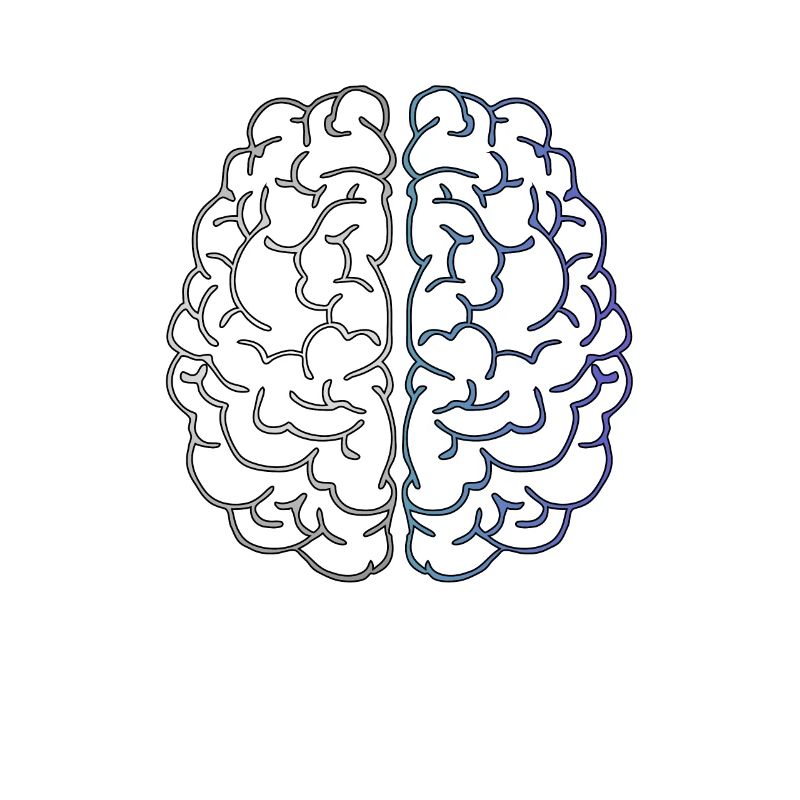 Brain