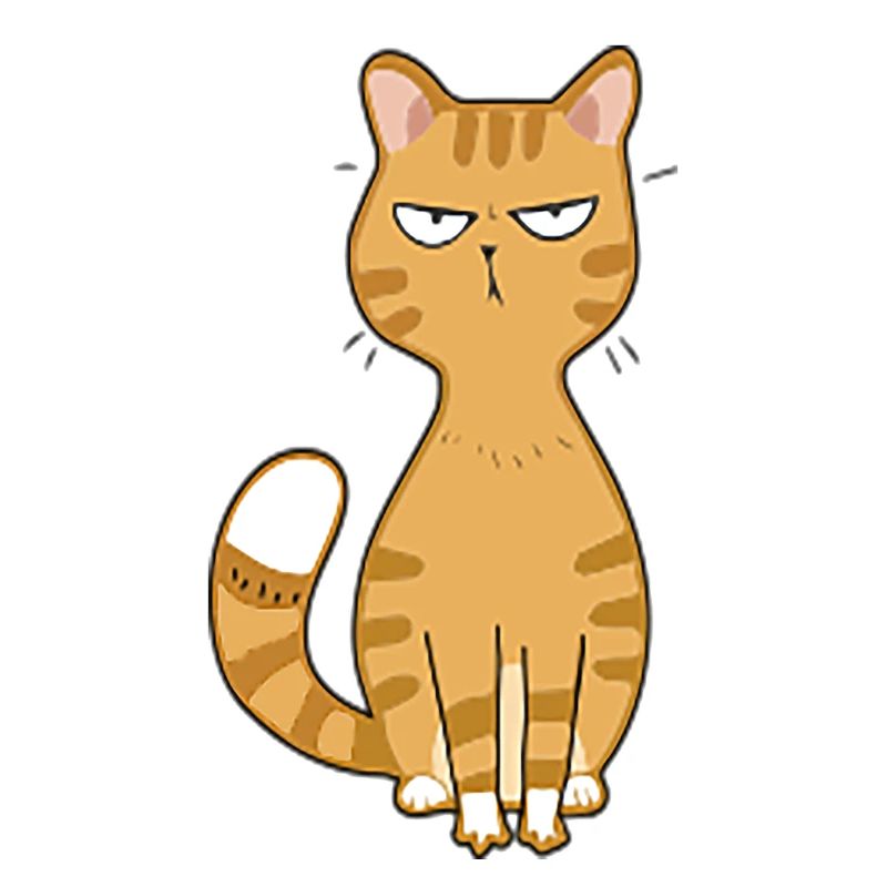 Katze böse oder niedlich