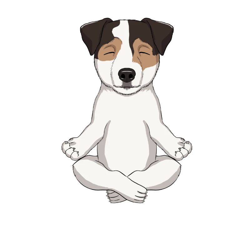 Le pasteur Russell Terrier médite