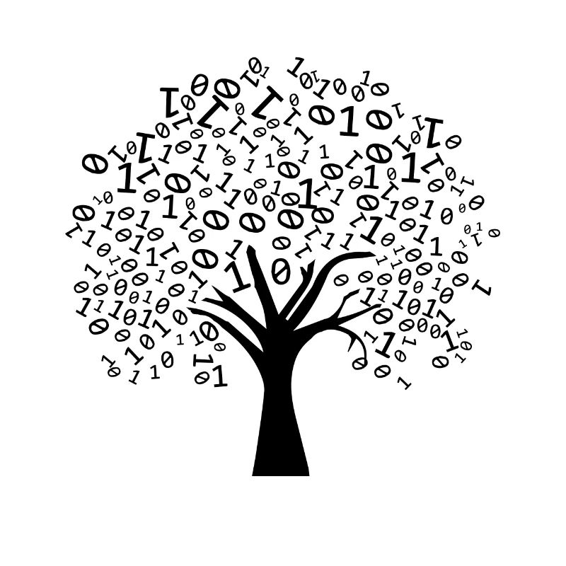 Programmierer Binärer Baum
