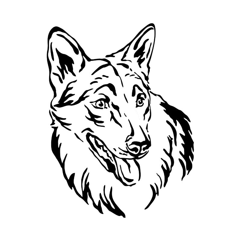 Chien-loup tchécoslovaque