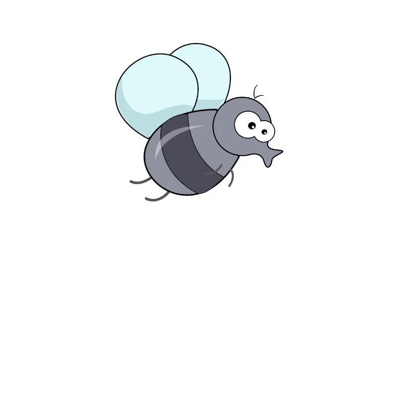 Fliege Stubenfliege Eintagsfliege