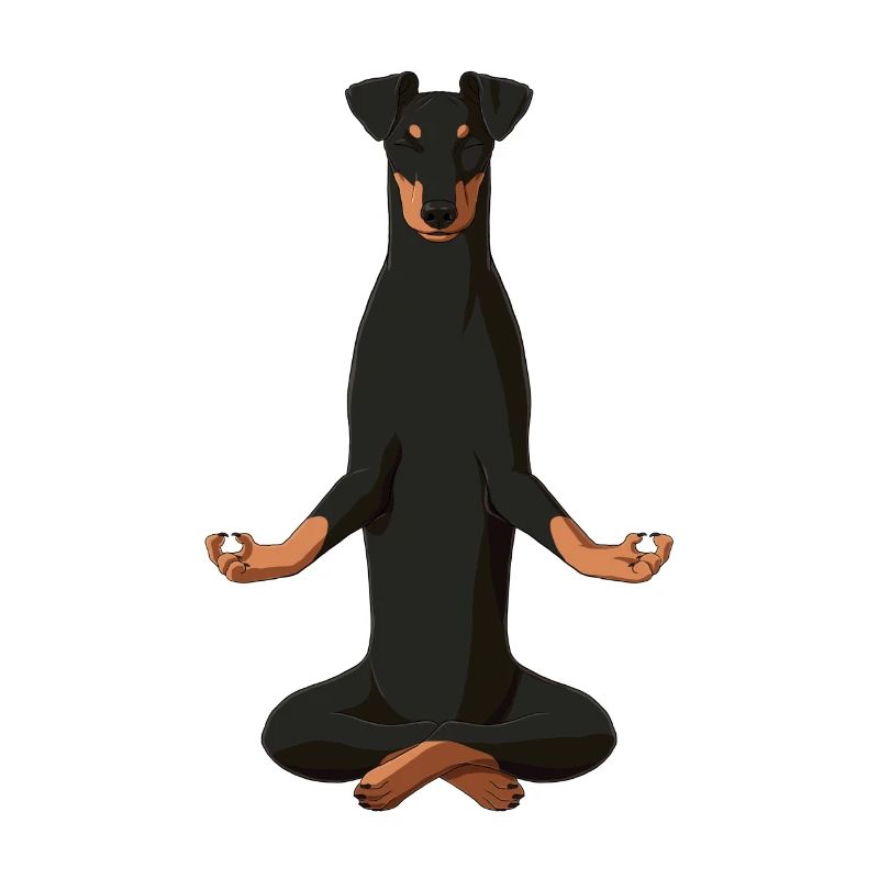 Chien méditant de Manchester Terrier