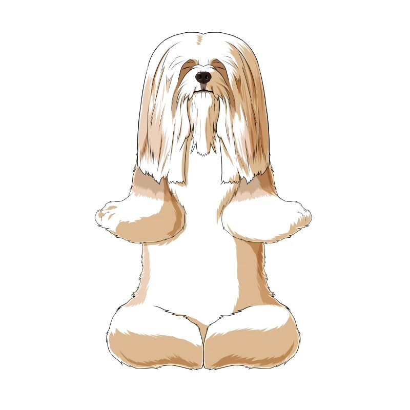 Meditating Lhasa Apso Dog