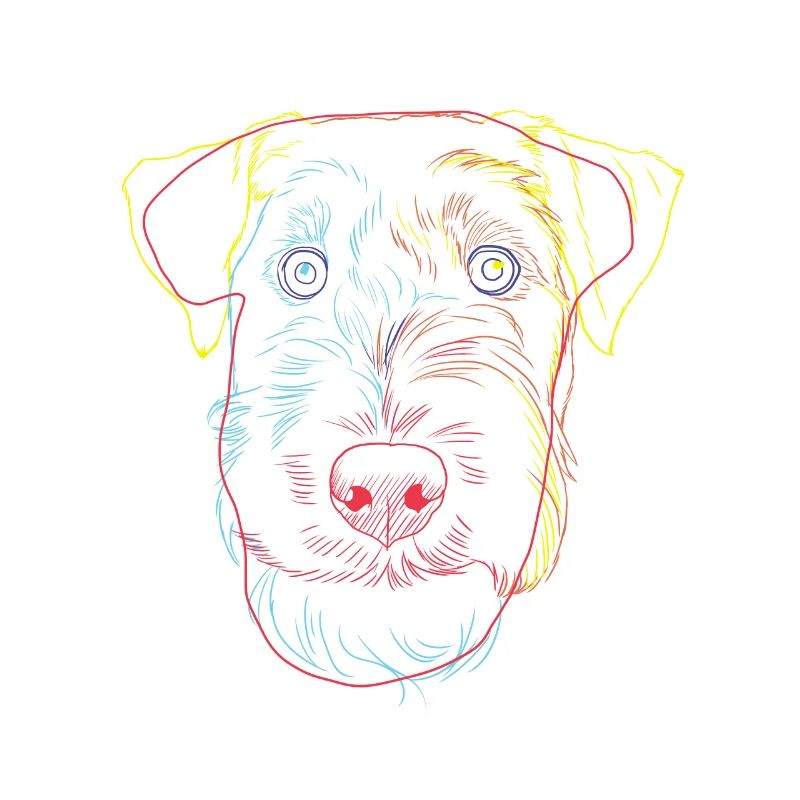Strokes Welsh Terrier chien