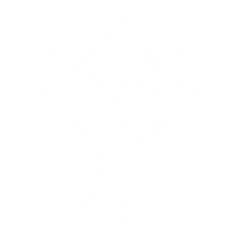 White Celtic cross with circular braid