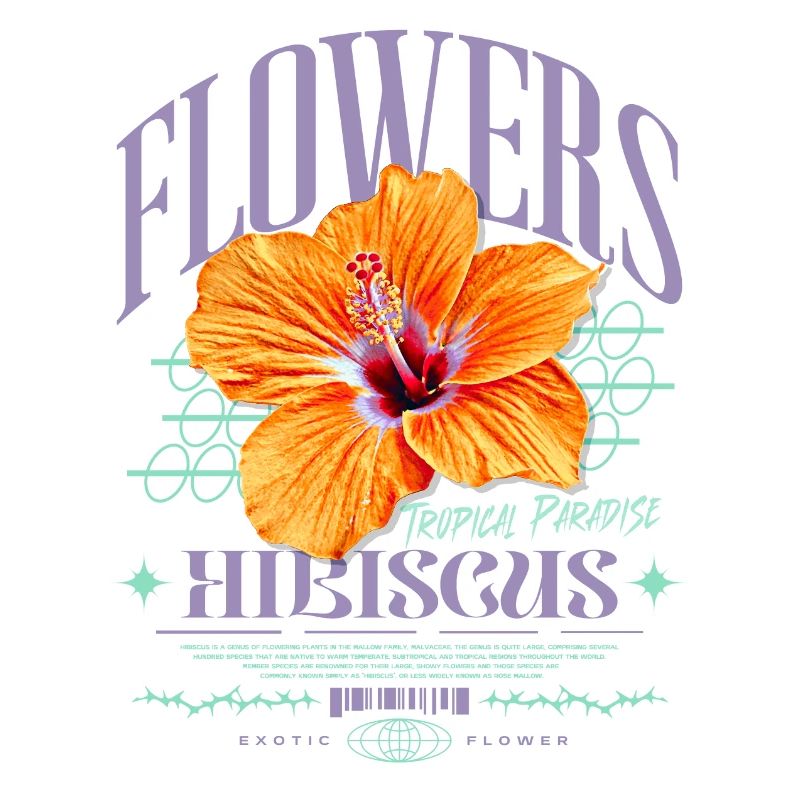 Fleur d’hibiscus Fleur d’hibiscus