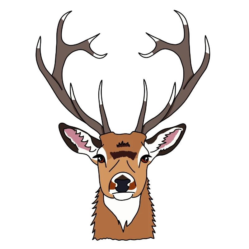 Cerf