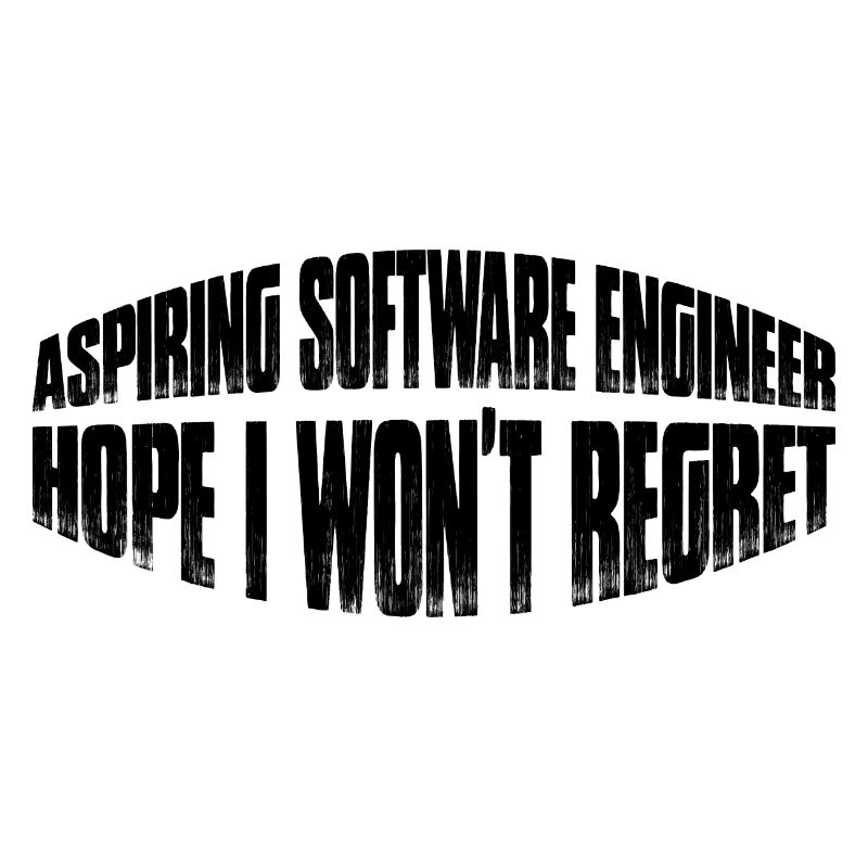 Aspiring Software Engineer, Hope I Won't Regret 4