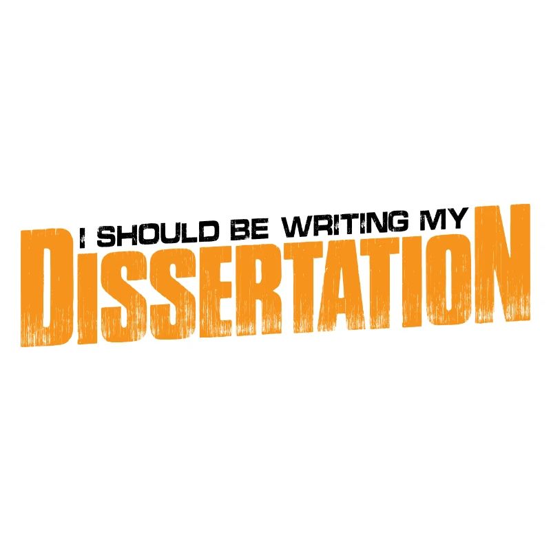 I Should Be Writing My Dissertation 10