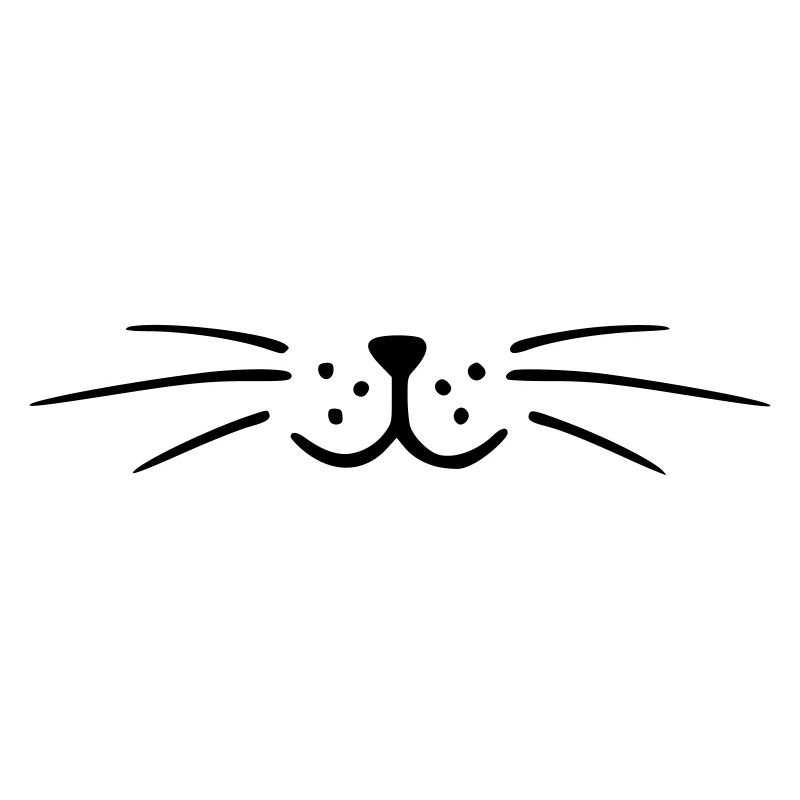 Chat moustaches. Tête de chat. Tête de chat