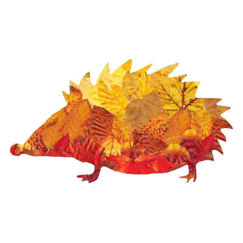 Igel aus Blätter