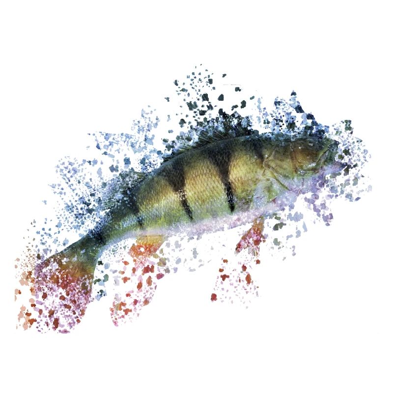 Idée cadeau de perche de pêche