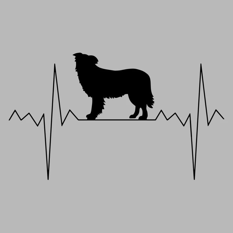 Herzschlag Herzfrequenz Border Collie