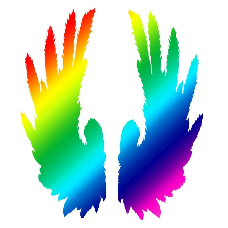 Regenbogenflügel