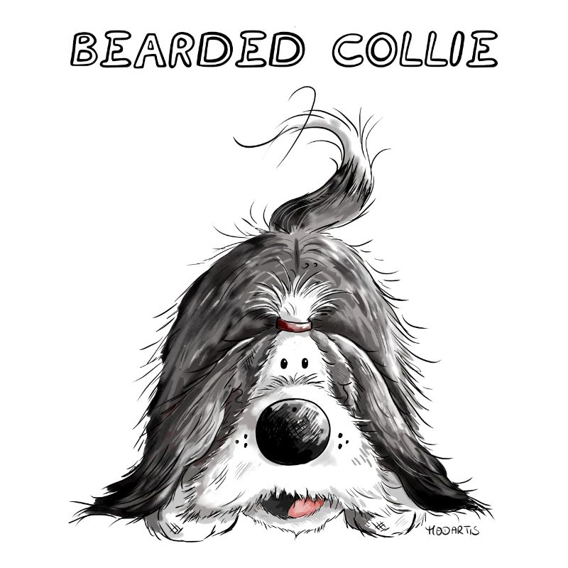 Verspielter Bearded Collie