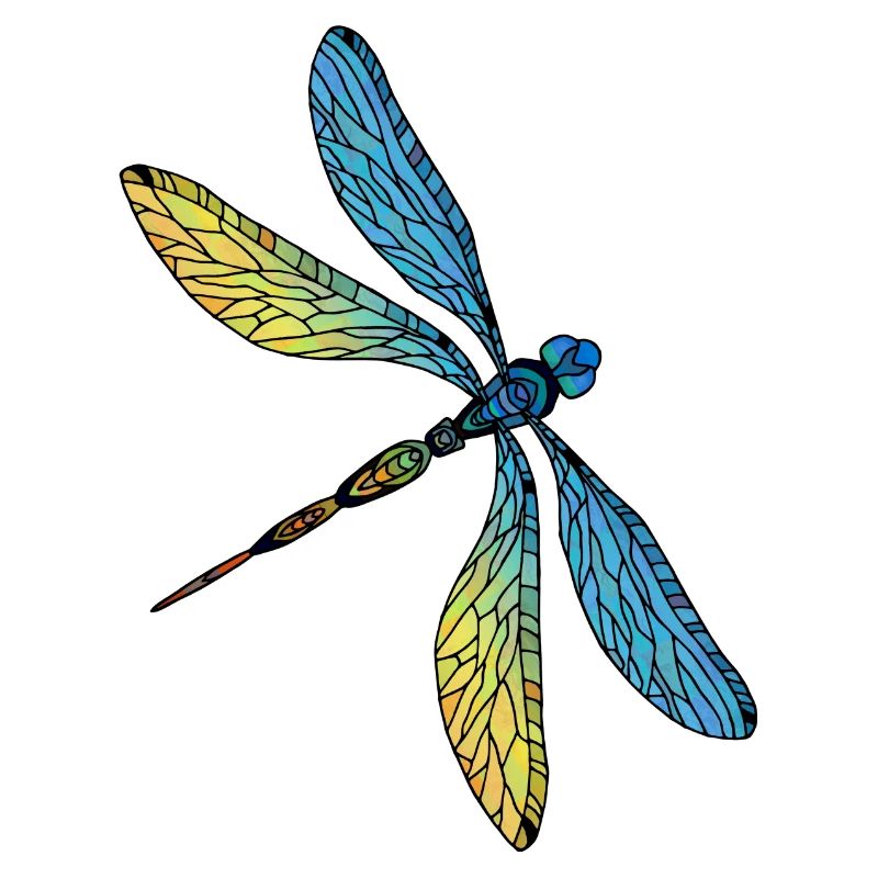 Libellule