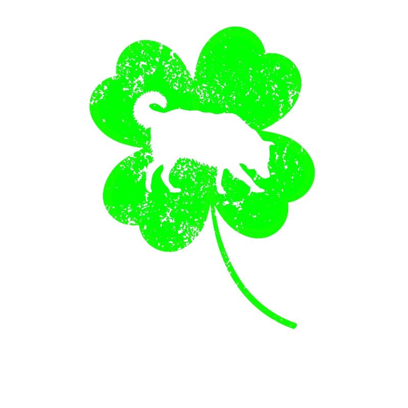 Border-collie Saint-Patrick Trèfle