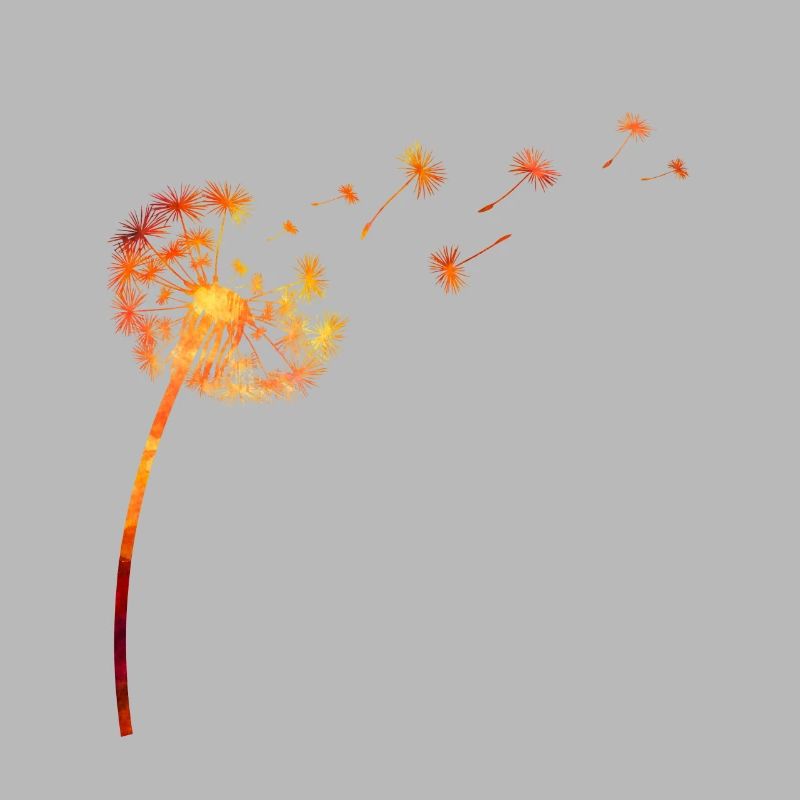 Dandelion