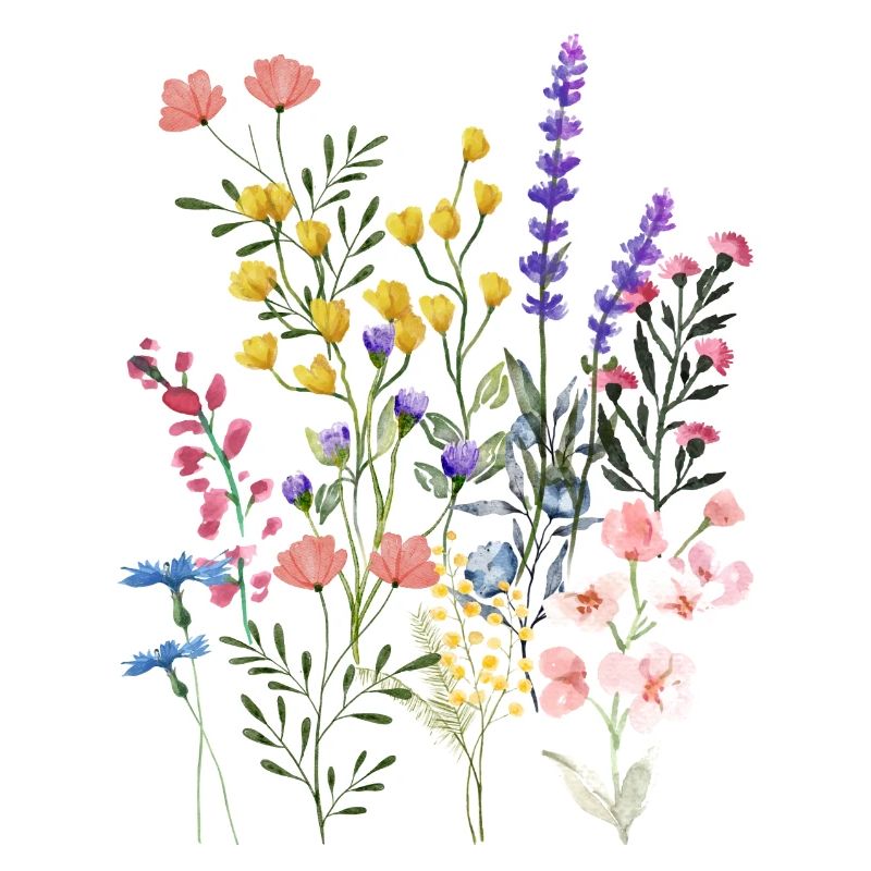 Prairie d’été