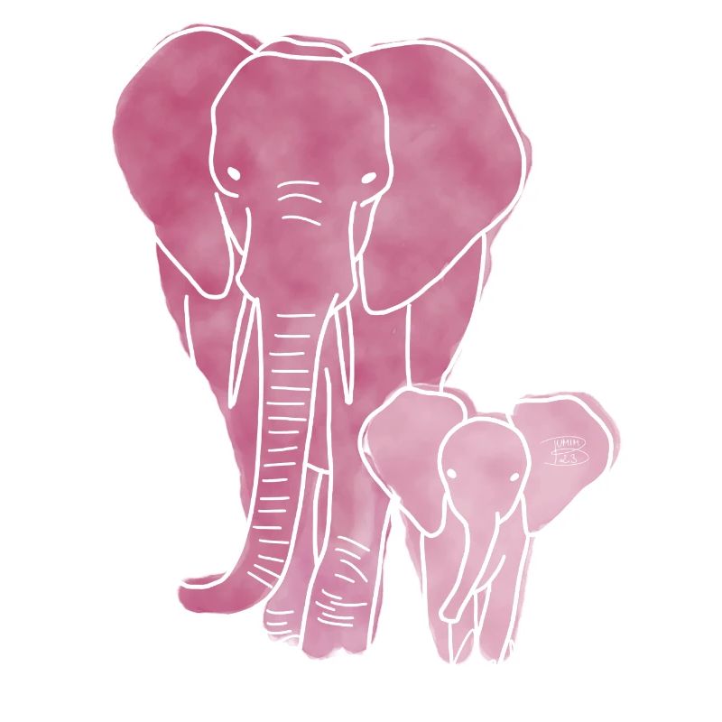 « Elephant », Boho Line Art Design, série « Big 5 »