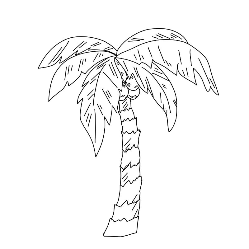 Palm Tree Drawing